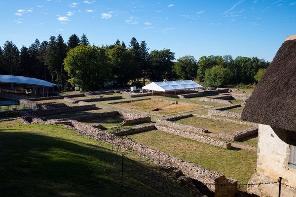 Quelles sont les astuces pour des granolas maison légers sans huile ?